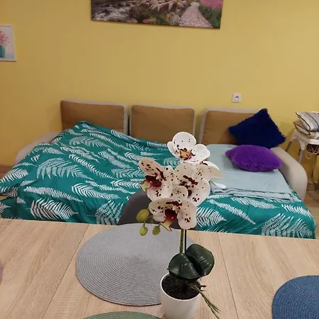 U Pauliny I Pawla Lägenhet Nowy Targ